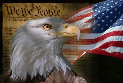 A bald eagle in profile with a focused expression, set against an American flag and a background featuring the text 'We the People'.