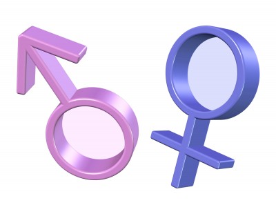 3D representations of the male and female gender symbols, with the male symbol in pink and the female symbol in blue.